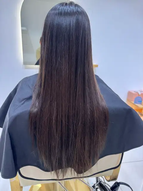 센느 사진 4