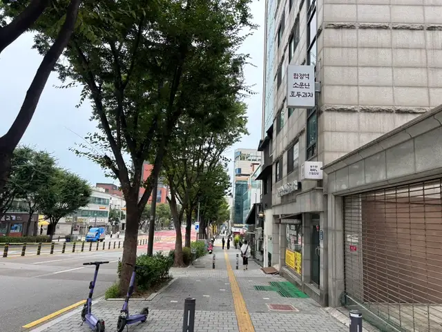 제이올리 네일아트 합정점 사진 6