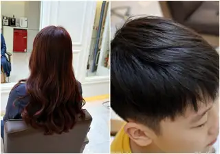 블랑로젤 사진