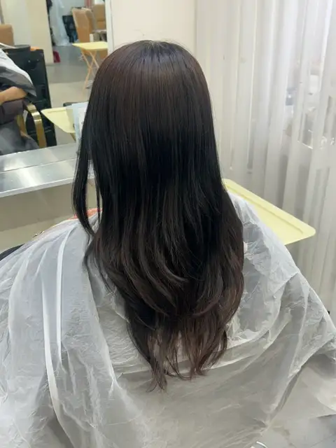 논노브 사진 1