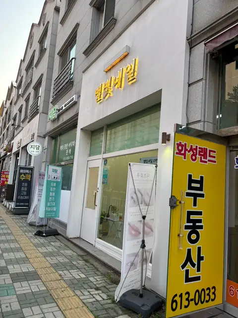 디브로우 사진 5