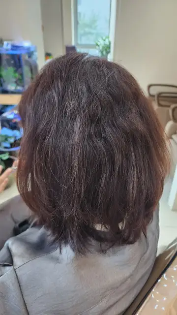 노벨리아헤어 사진 1