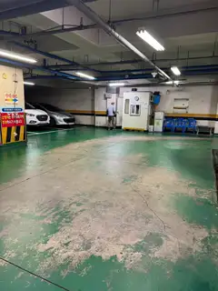 더아르디 사진