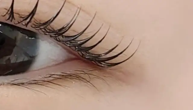 헤이브로우 사진 3