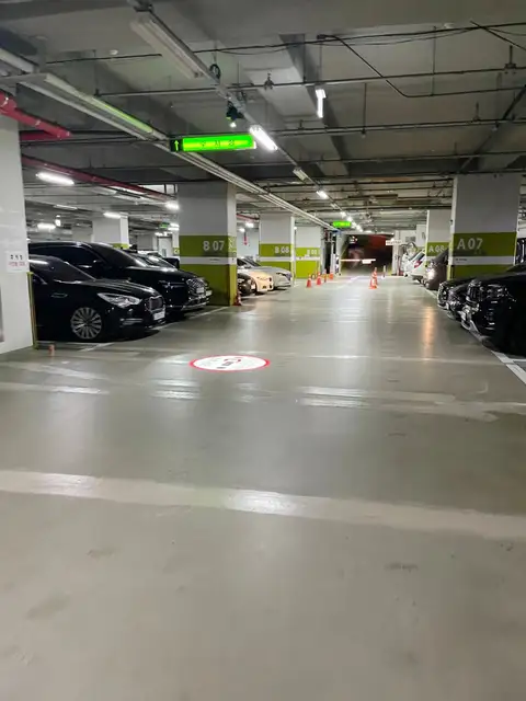 지지래쉬 사진 2