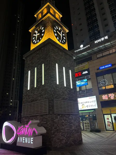트윈뷰티 사진 5