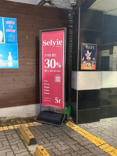 셀리에 성수 사진 3