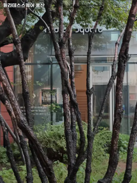필라테스스퀘어 사진 4