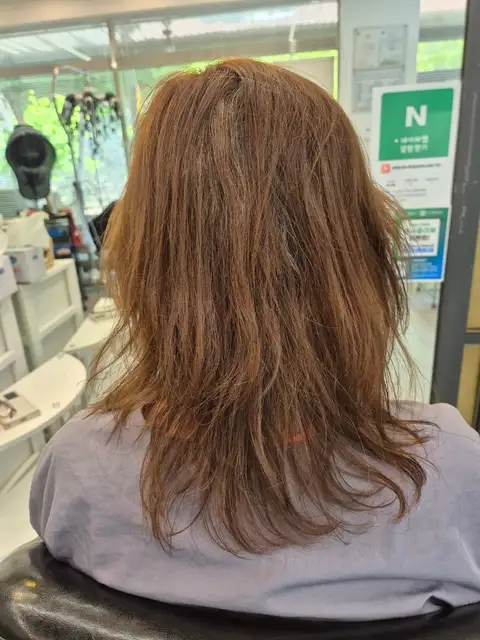 레베헤어 사진 4