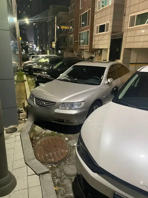 아르틱 사진 8