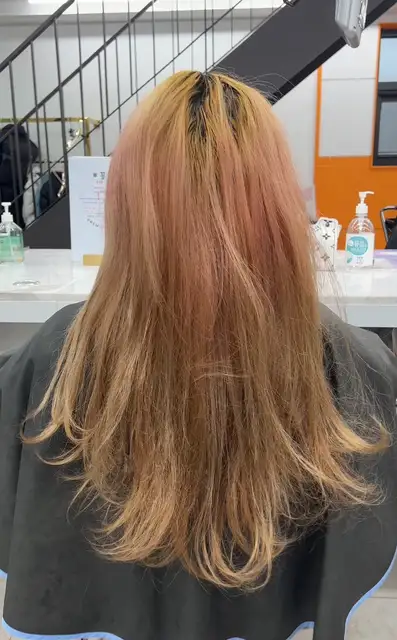 샵꽁뜨 홍대서교점 사진 6