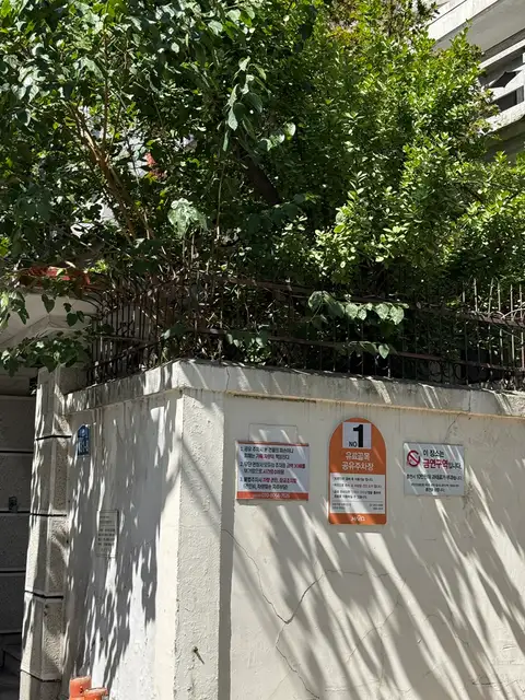오뷰 사진 8