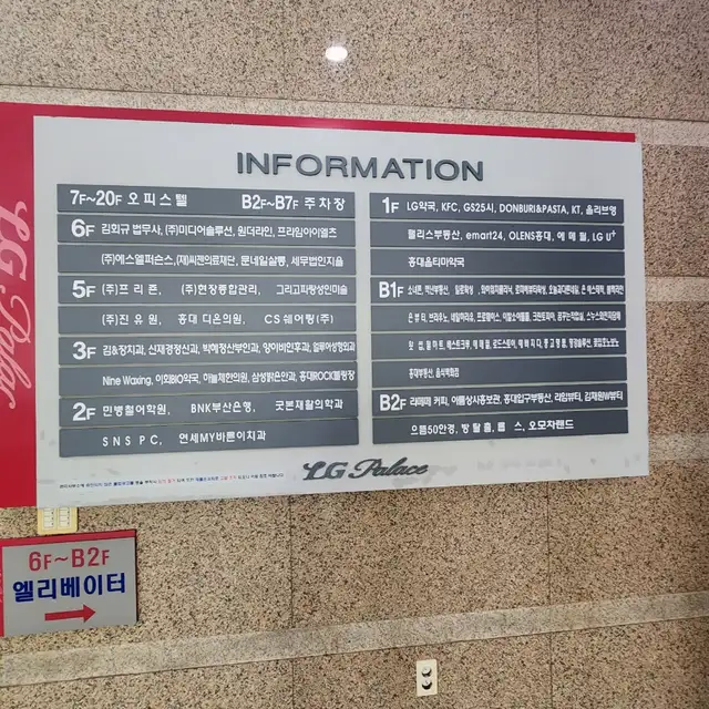 일로왁싱 사진 8