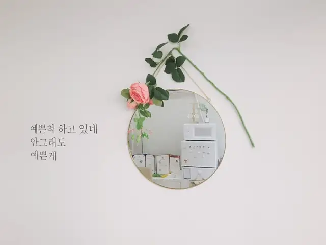 노블속눈썹 사진 6