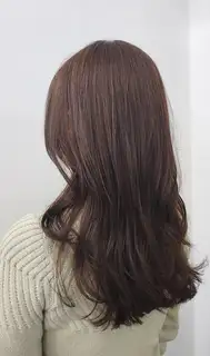엘은살롱 사진