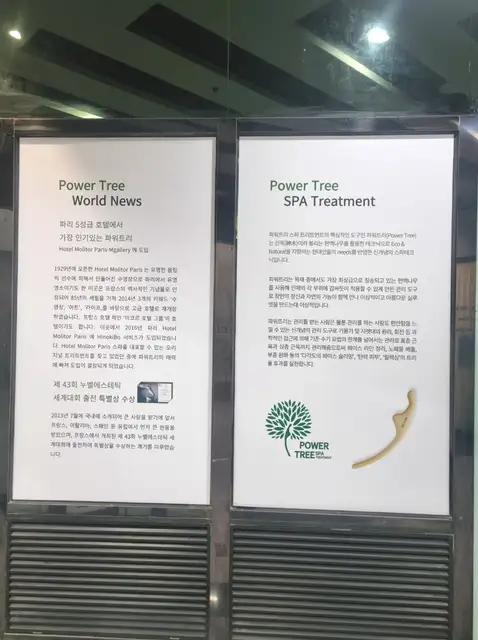 비씨에스테 사진 5