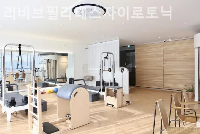 리비브필라테스자이로토닉 사진 4