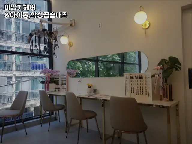 비땅기헤어 사진 3