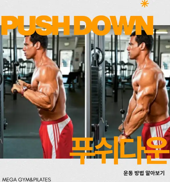 메가짐&필라테스 사진 8