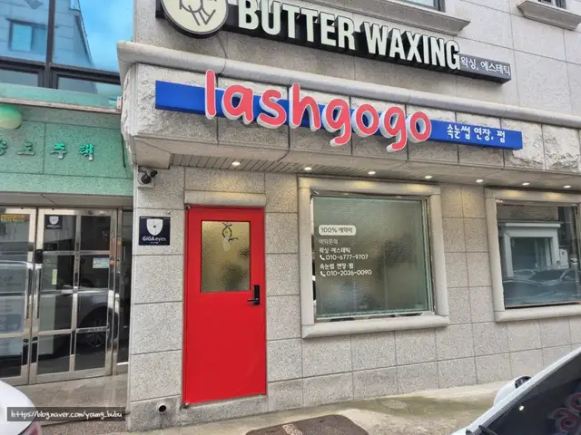 래쉬고고 사진 5
