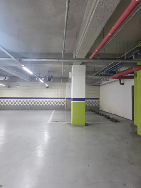 라임헤어 사진 4