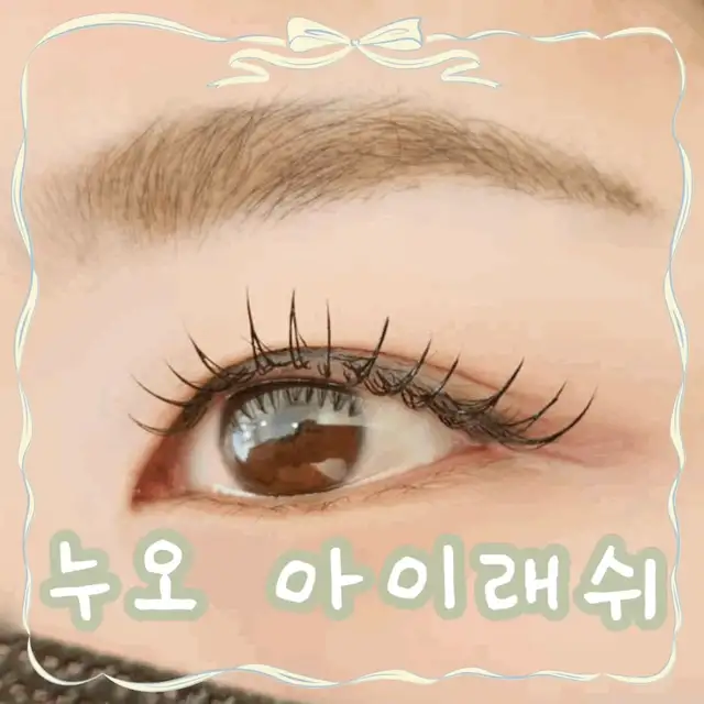 누오아이래쉬 사진 5