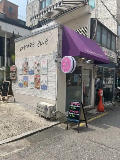 네일블라썸 사진 5