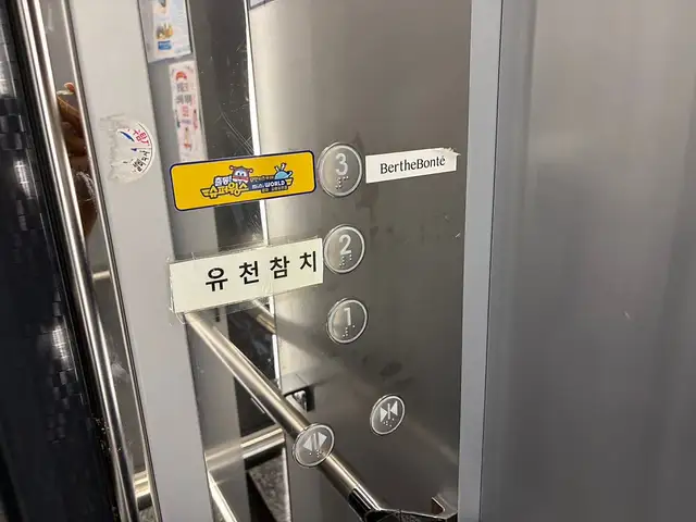 베르트본태 사진 6