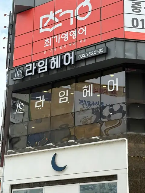 라임헤어 사진 8