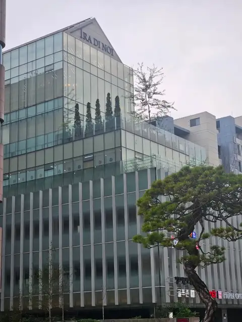더리 사진 3