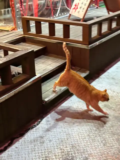 제이엘살롱 사진 2