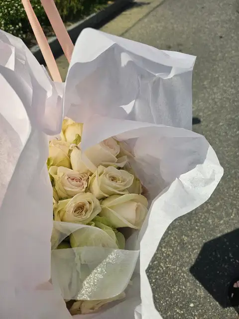 흐므네일 사진 3