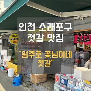 꽃님이 사진