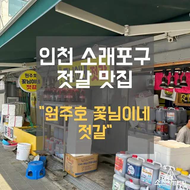 꽃님이 사진 1