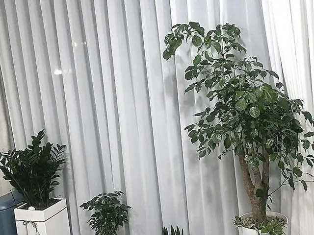 벨라룸 에스테틱 사진 8