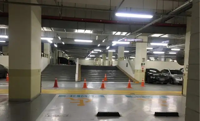 에스텔라 사진 2