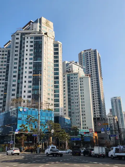 파인더트리에스테틱 사진 8