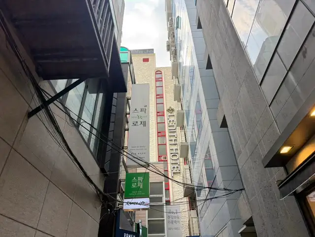 스파로제 사진 8