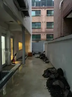 네일레브빈 사진