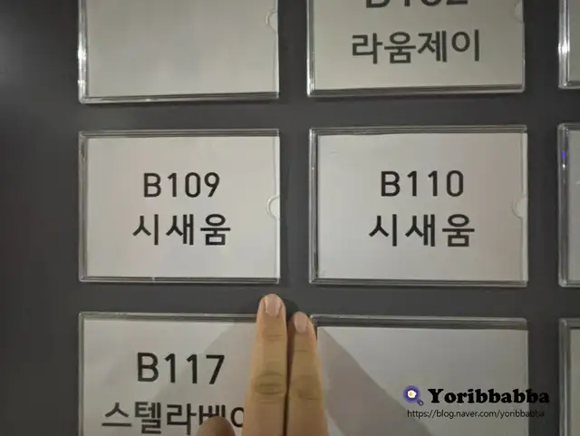 시새움 사진 2