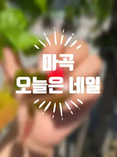 오늘은 네일 사진