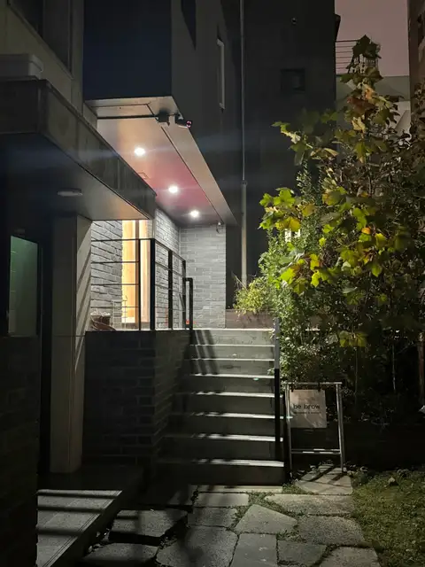 비브로우 사진 3