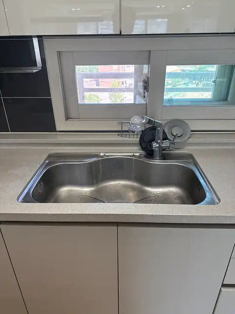 백조 사진 8