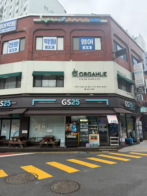 올가휴 사진 7