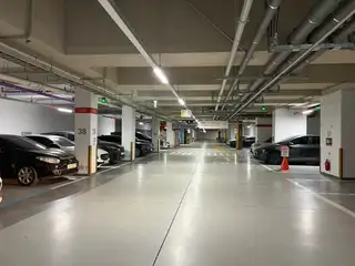 하솜래쉬 사진