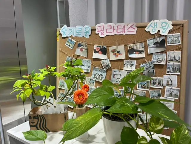 필라테스봄앤핏 사진 6