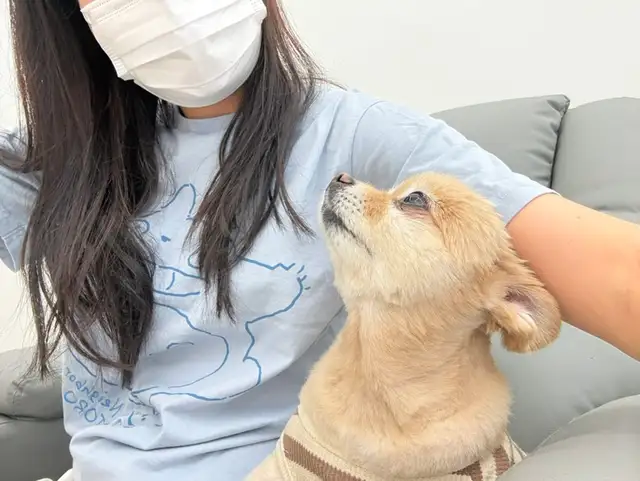 다뮤네일 사진 7