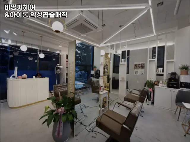 비땅기헤어 사진 4