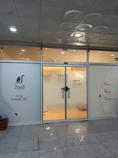 시드 에스테틱 사진