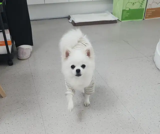 뷰티N뷰티 사진 5